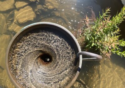bassin vortex